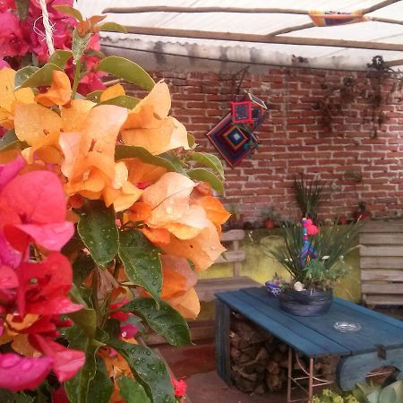 Hostal Nahui Ollin San Cristóbal de Las Casas Buitenkant foto