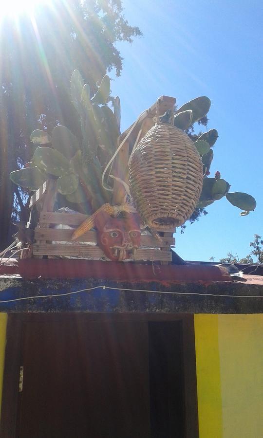 Hostal Nahui Ollin San Cristóbal de Las Casas Buitenkant foto