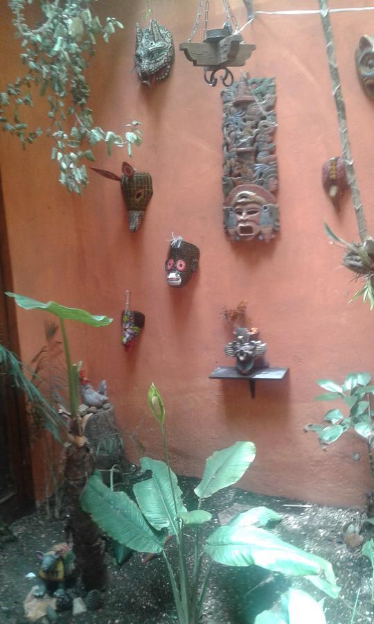 Hostal Nahui Ollin San Cristóbal de Las Casas Buitenkant foto