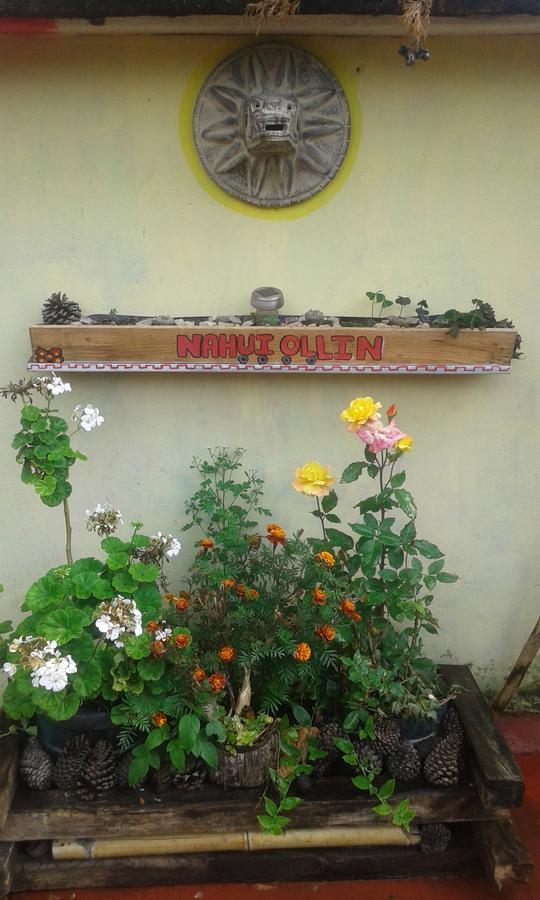 Hostal Nahui Ollin San Cristóbal de Las Casas Buitenkant foto