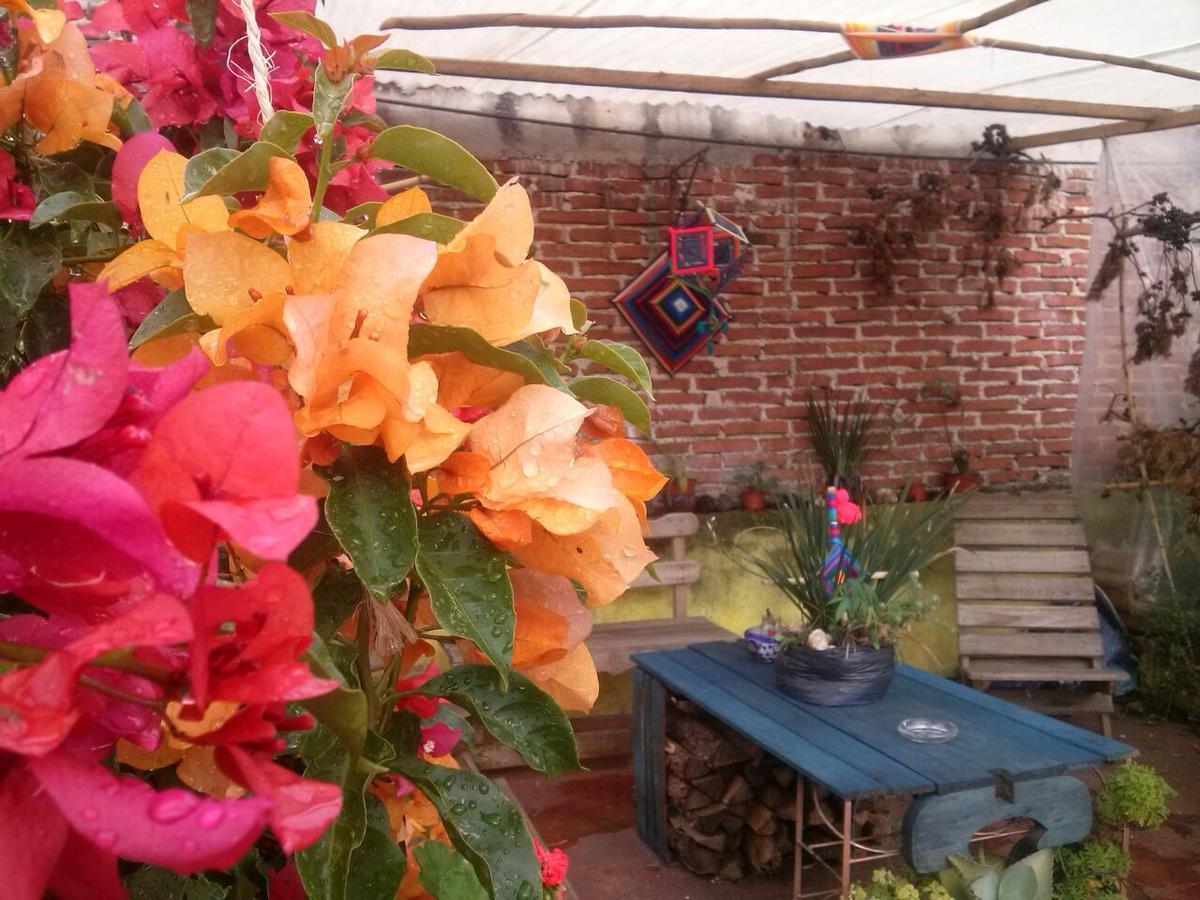 Hostal Nahui Ollin San Cristóbal de Las Casas Buitenkant foto